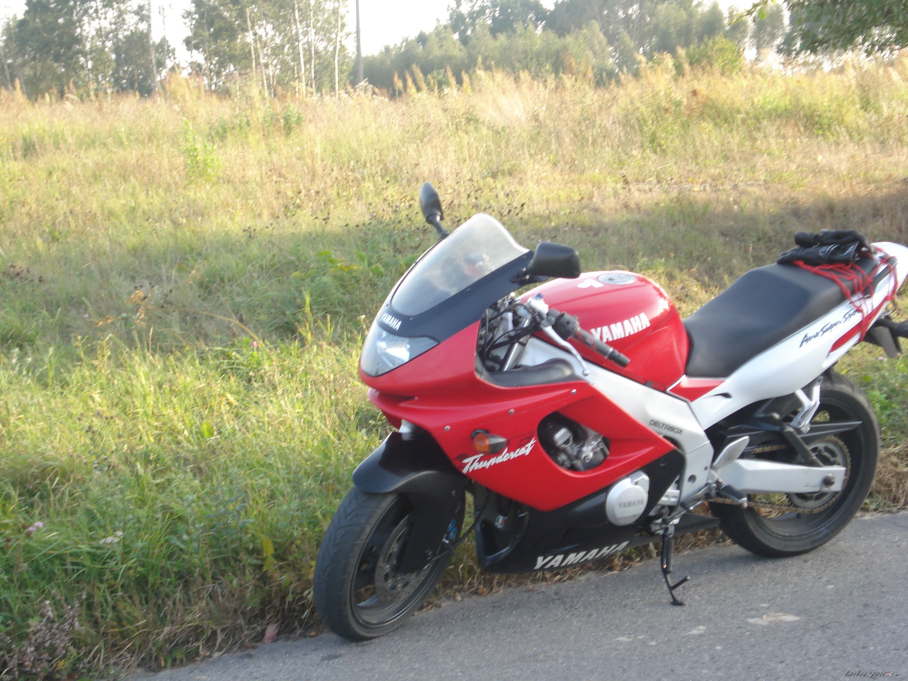 Photo 1409795
