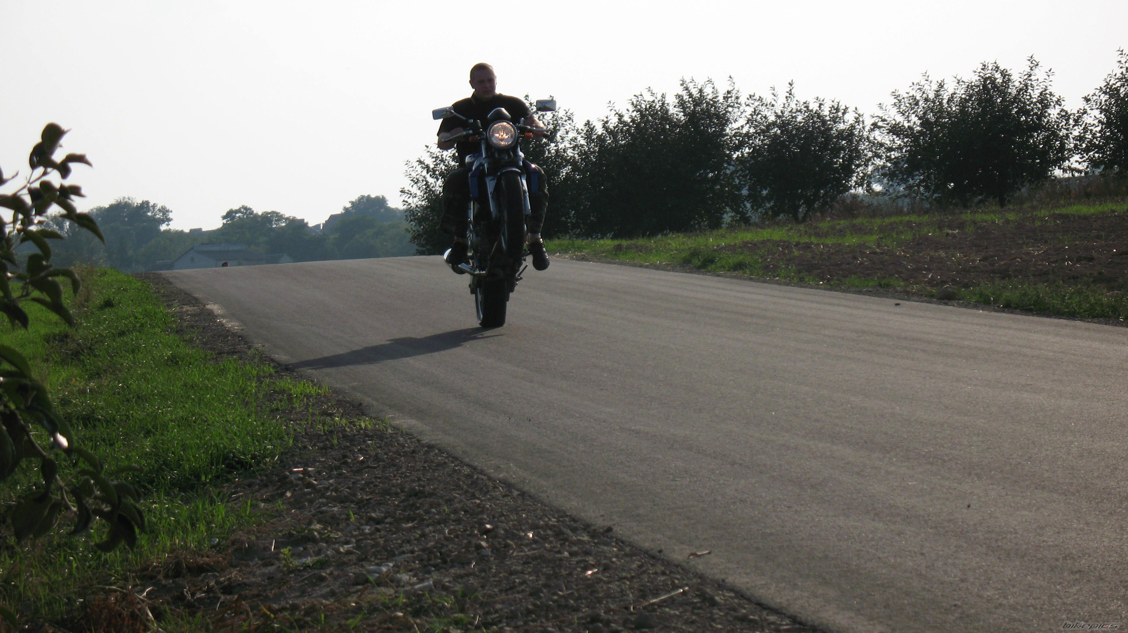 Photo 1409849