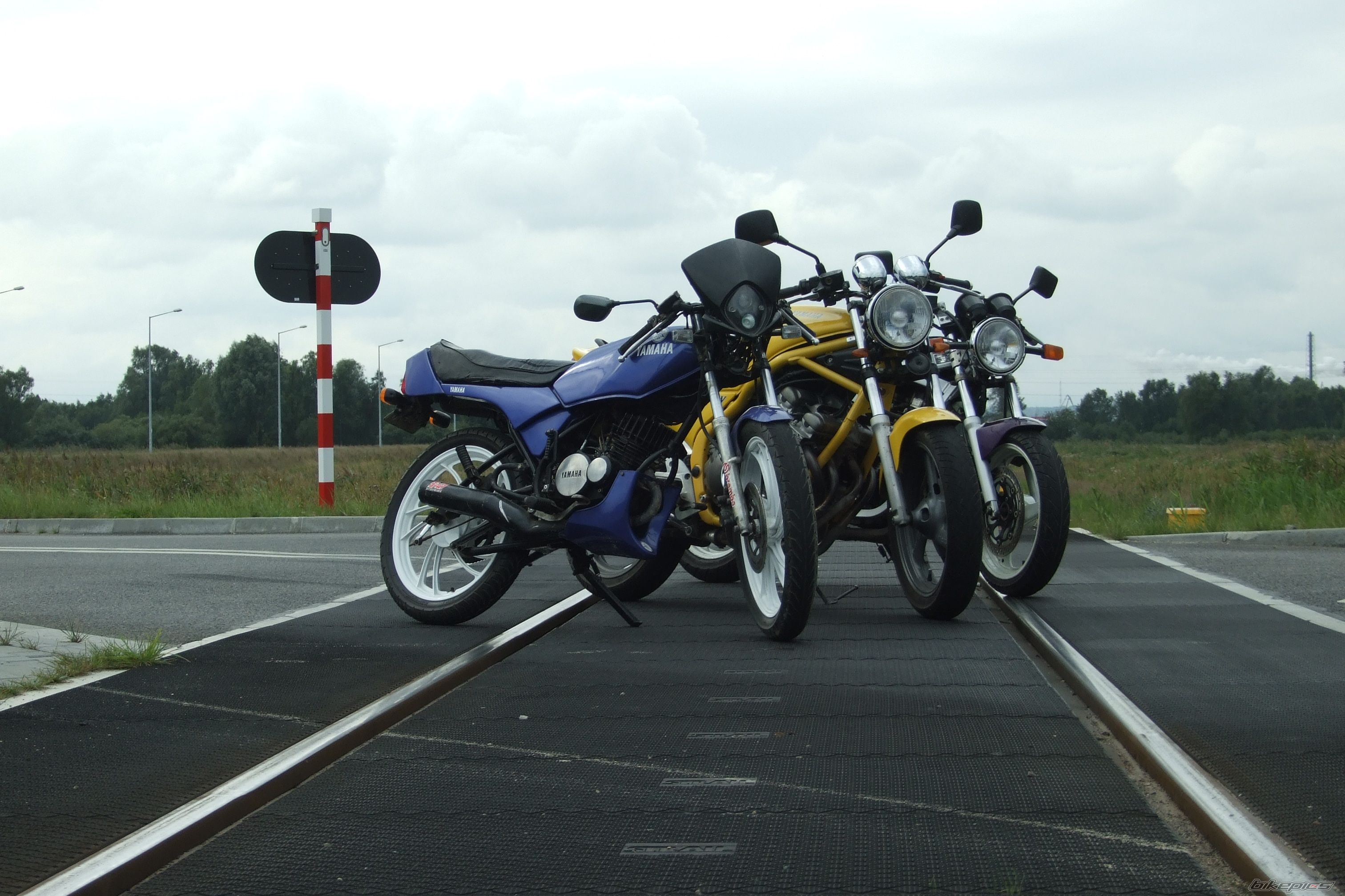 Photo 1409880