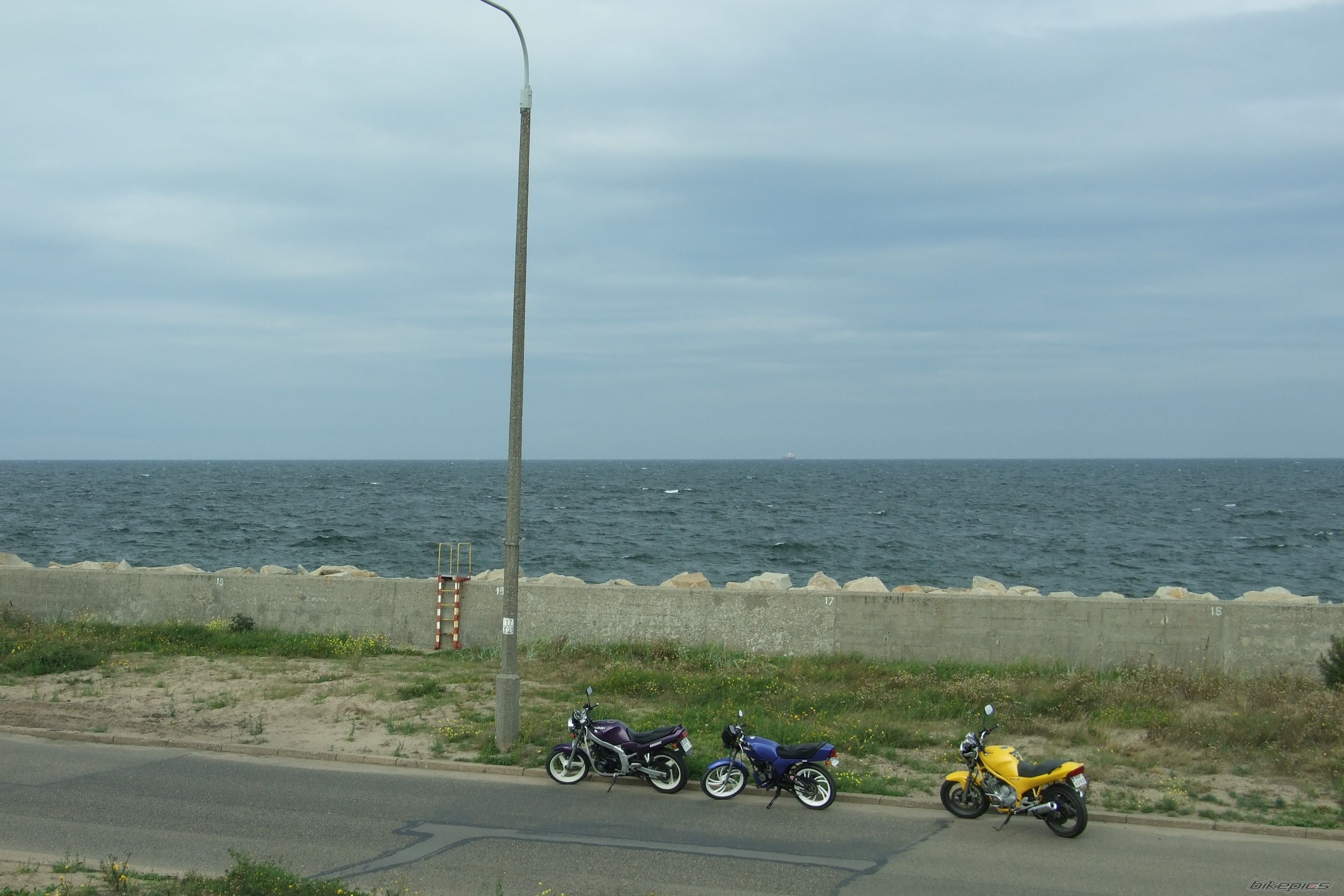 Photo 1409892