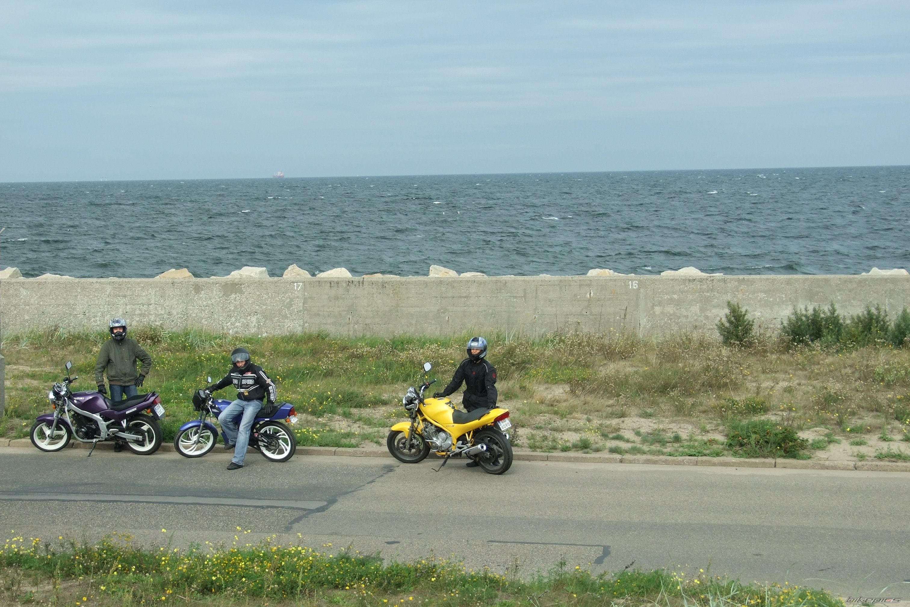 Photo 1409898