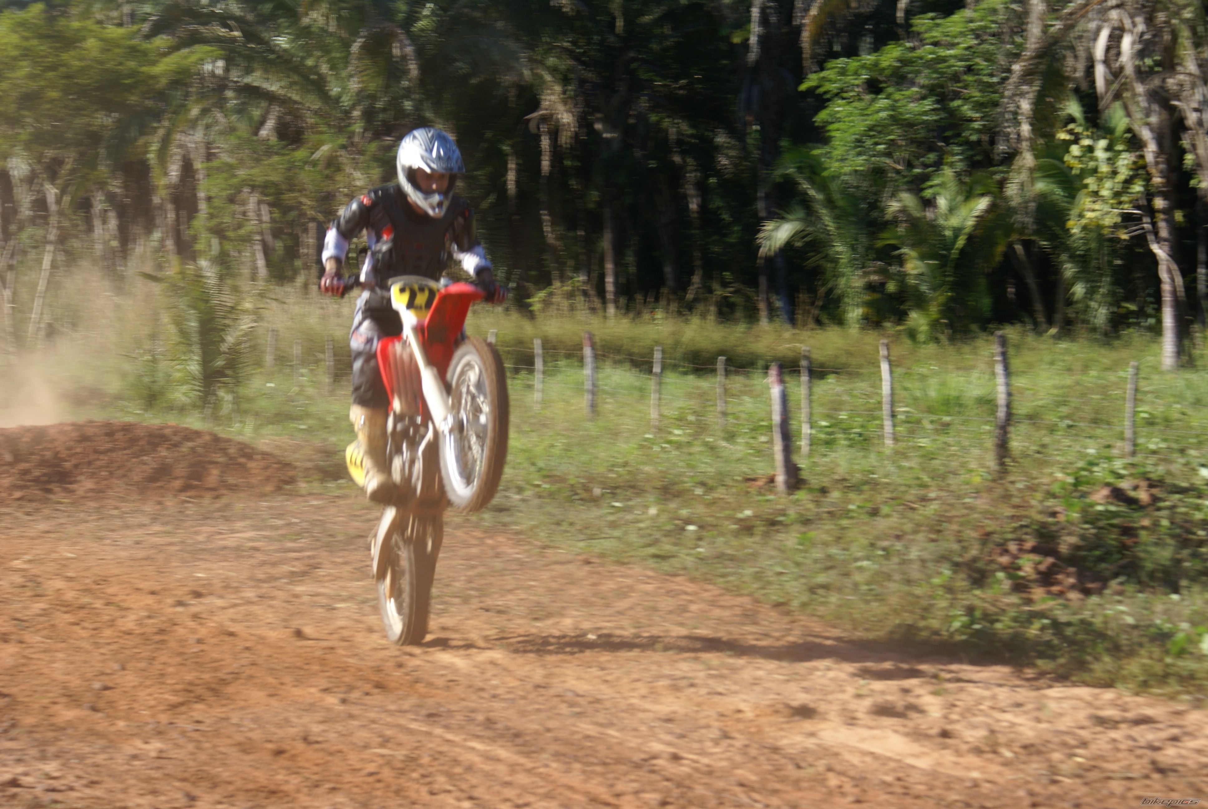 Photo 1410136