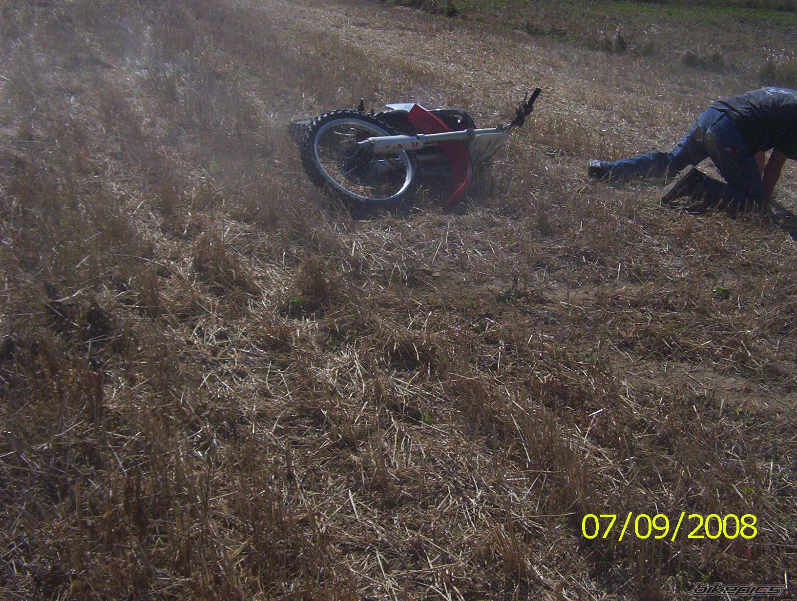 Photo 1410166