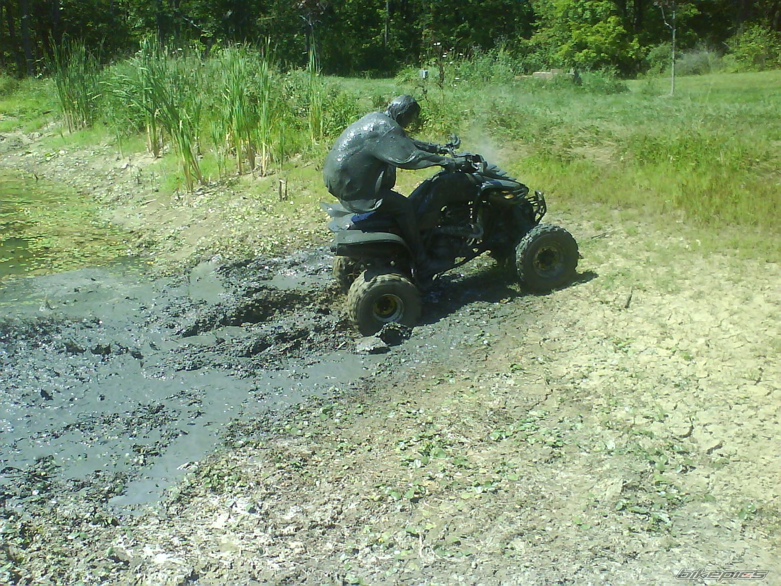 Photo 1410228