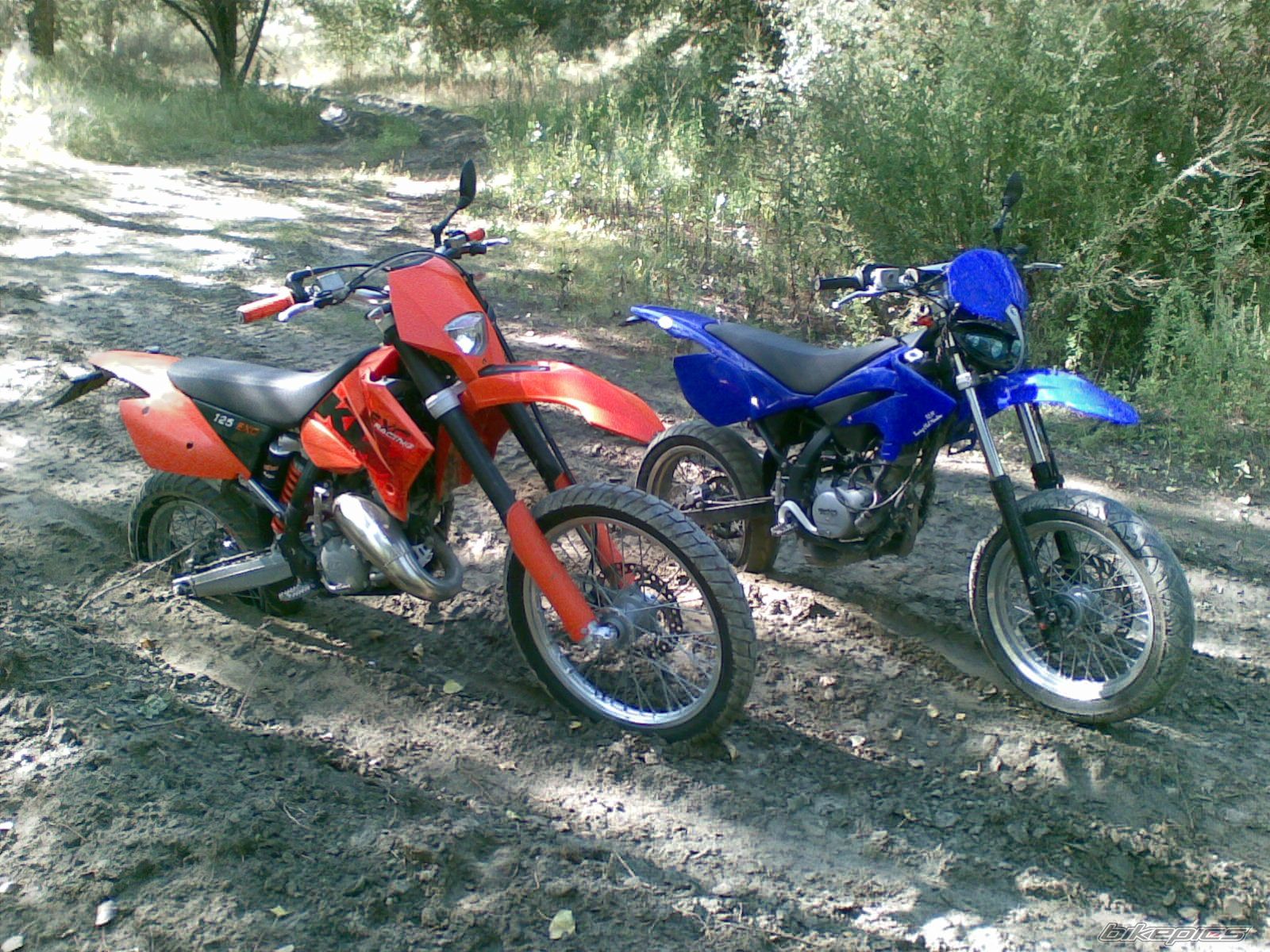 Photo 1410355