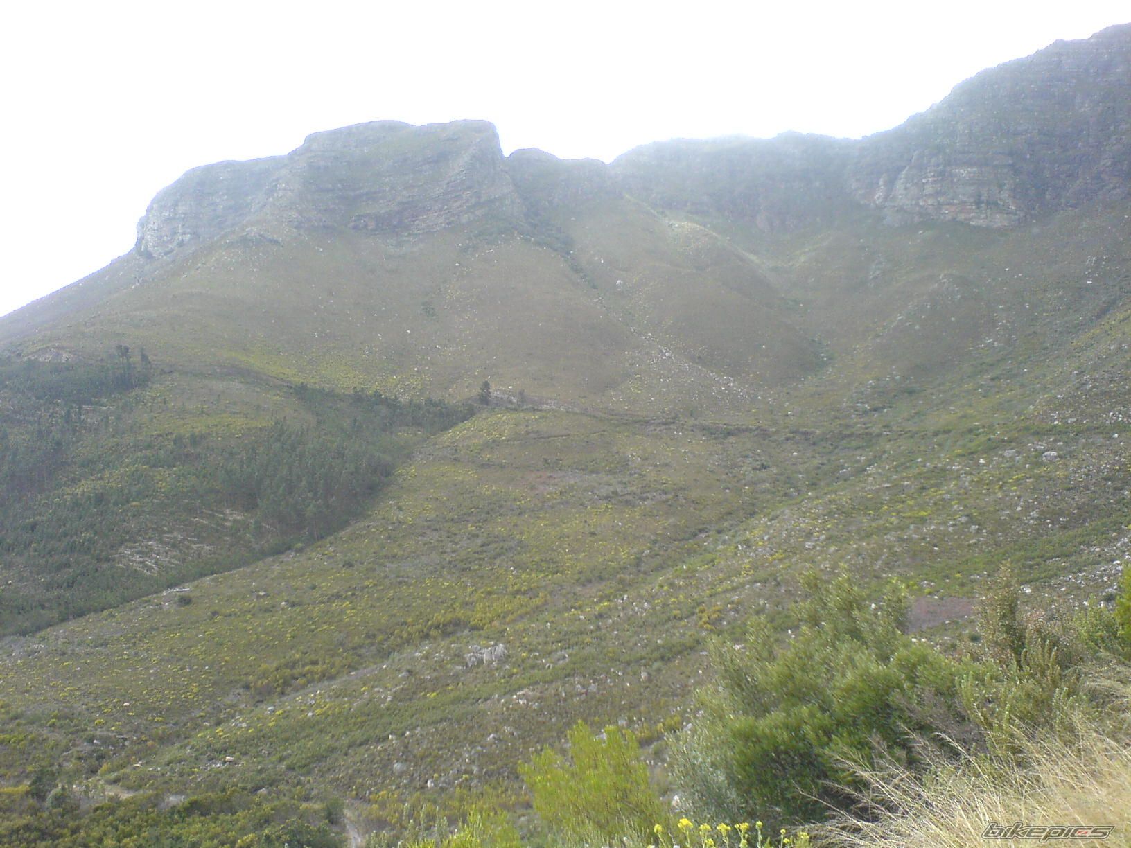Photo 1410364