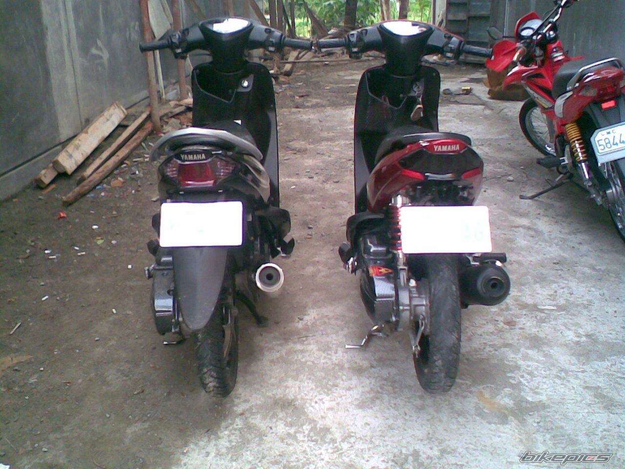 Photo 1410428