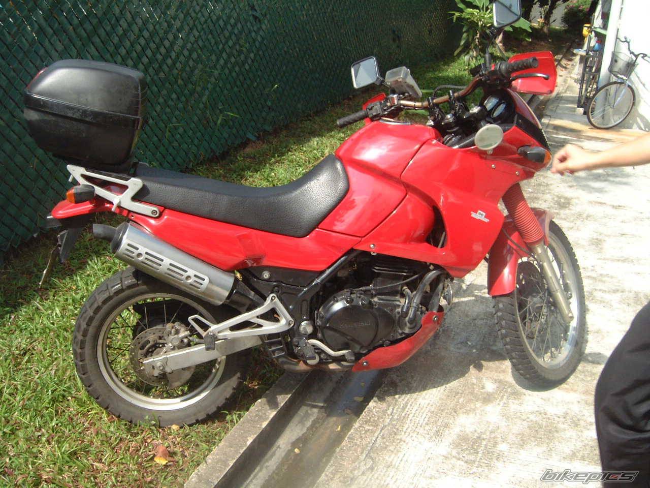 Photo 141043