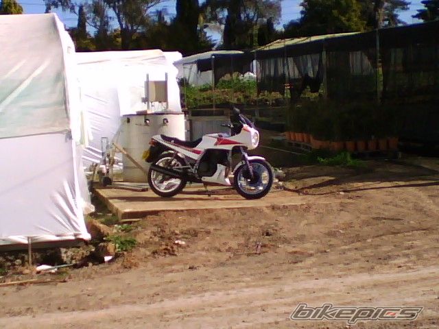 Photo 1410524