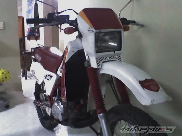 Photo 1410531