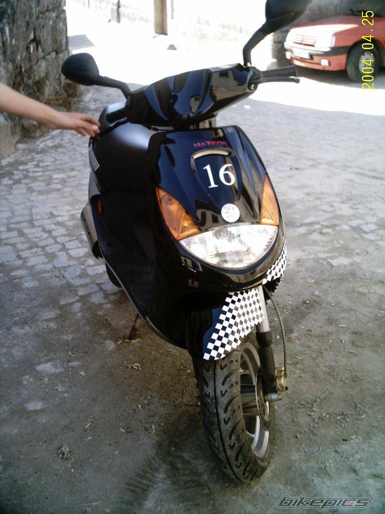 Photo 141074