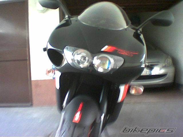 Photo 141081