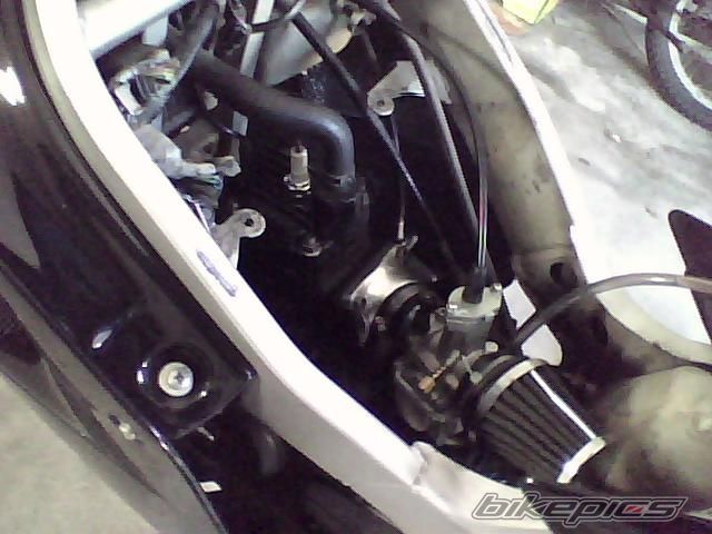 Photo 1410908