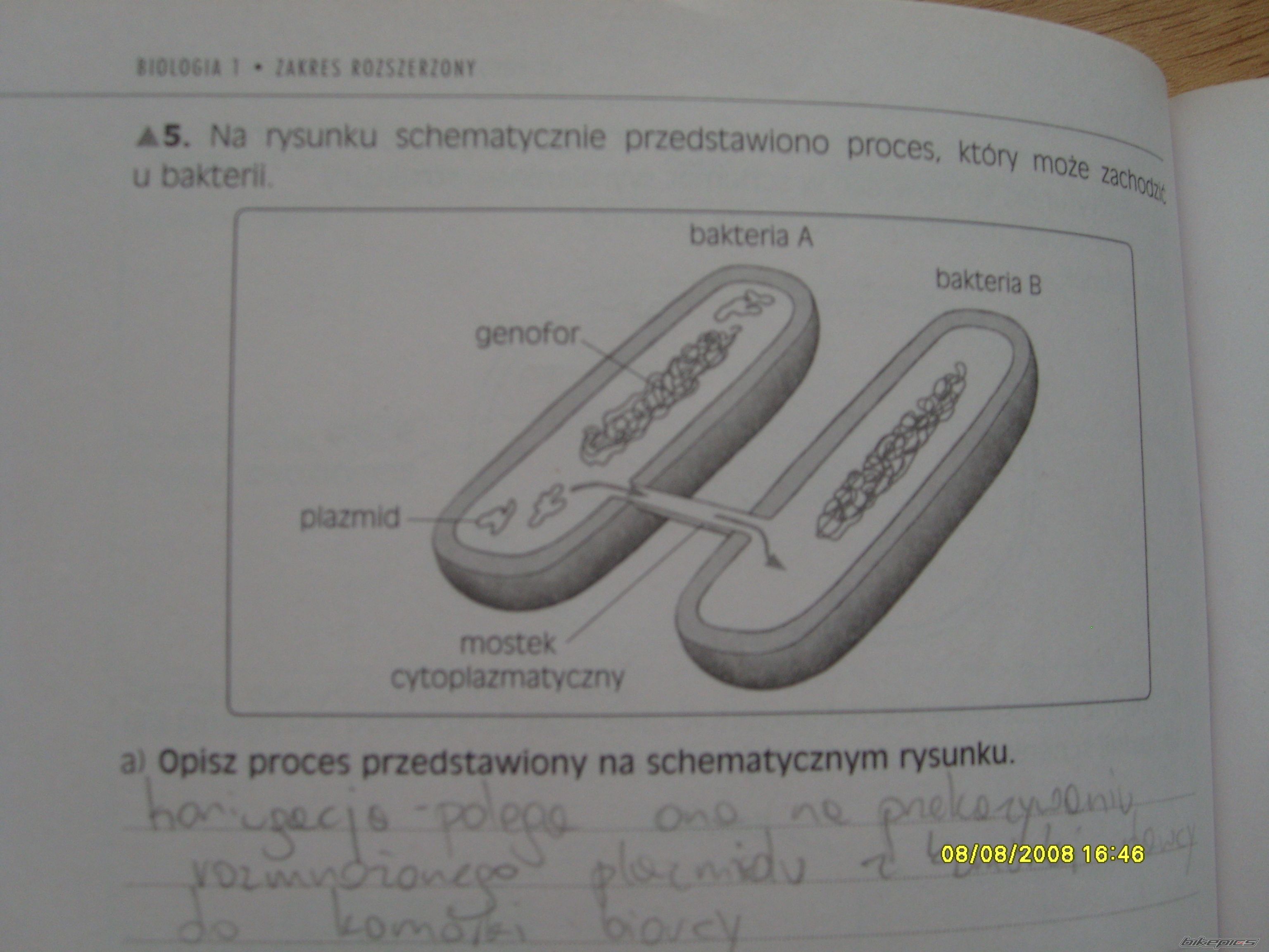 Photo 1410932