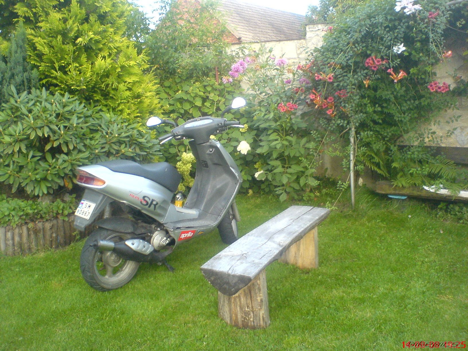Photo 1410937