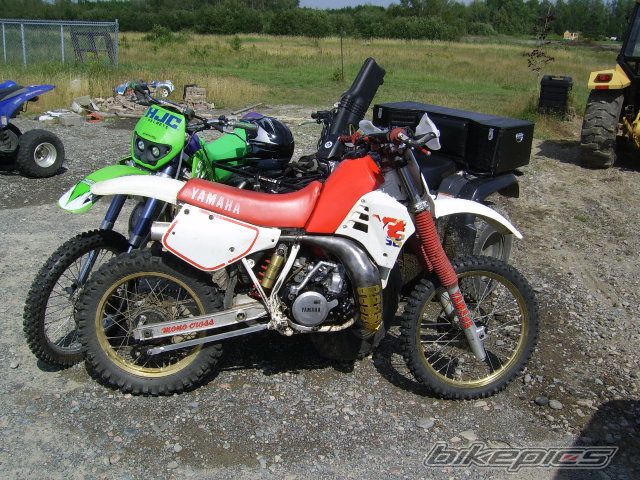 Photo 1410938