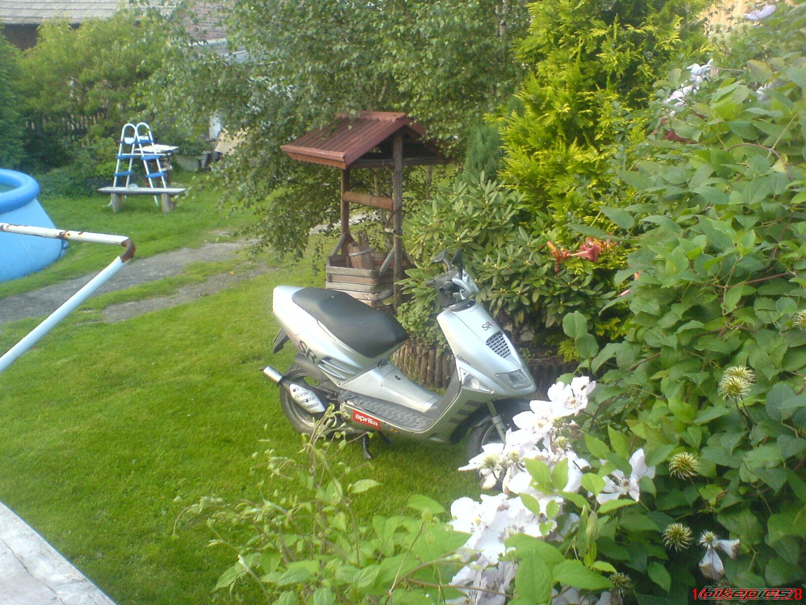 Photo 1410939