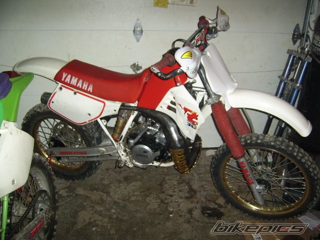 Photo 1410940