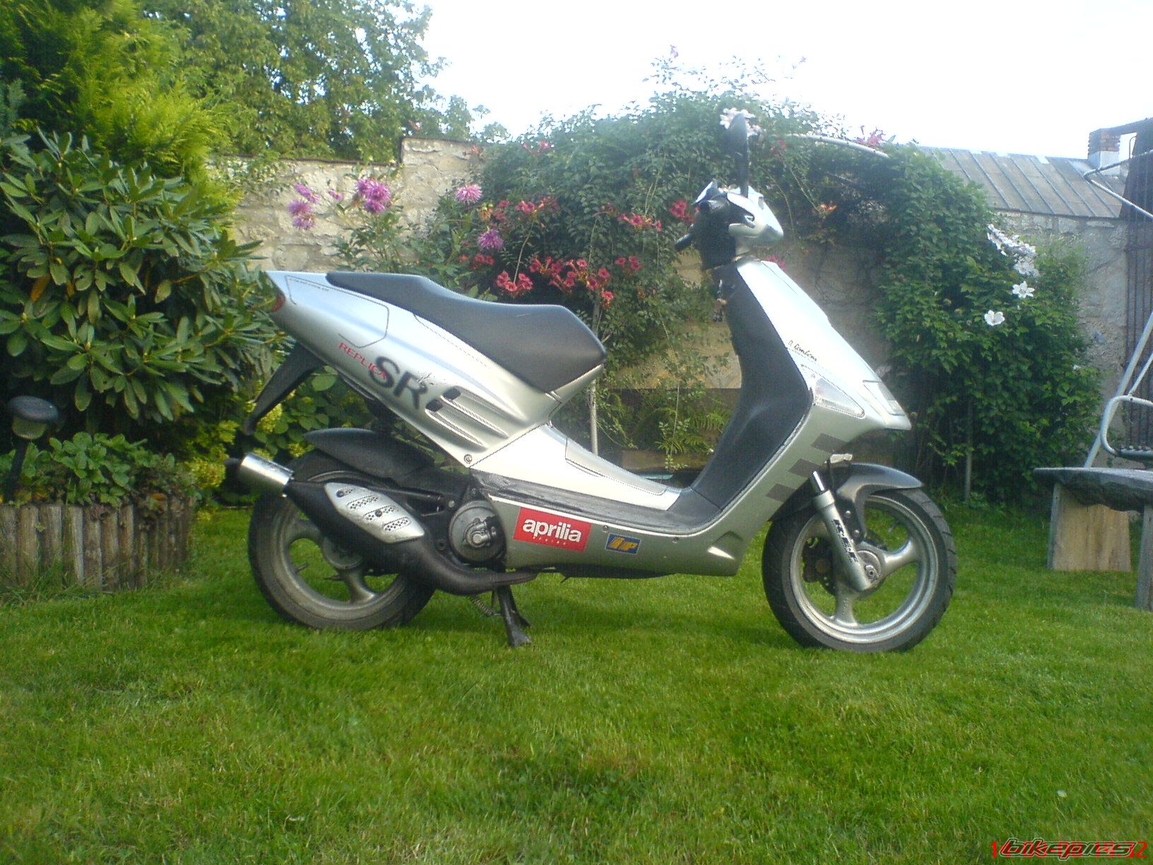 Photo 1410942