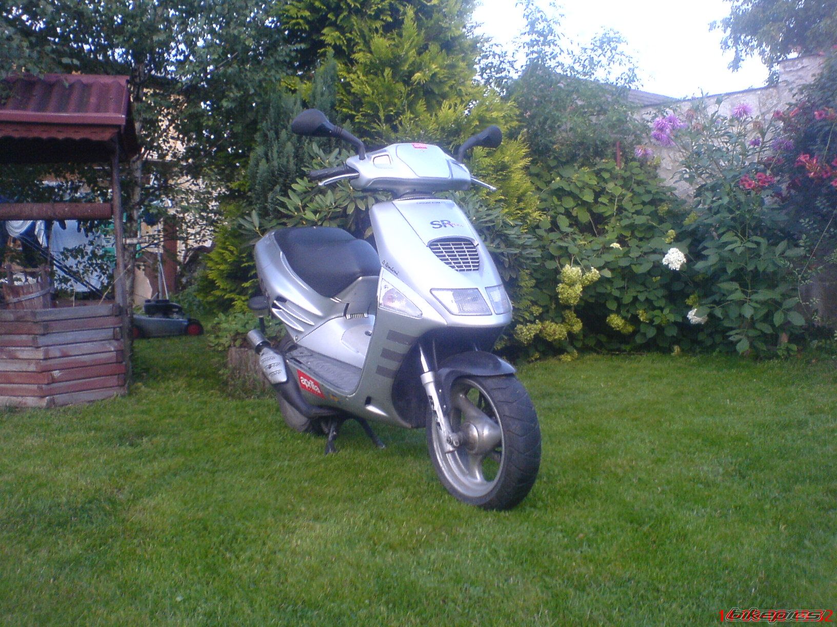 Photo 1410944
