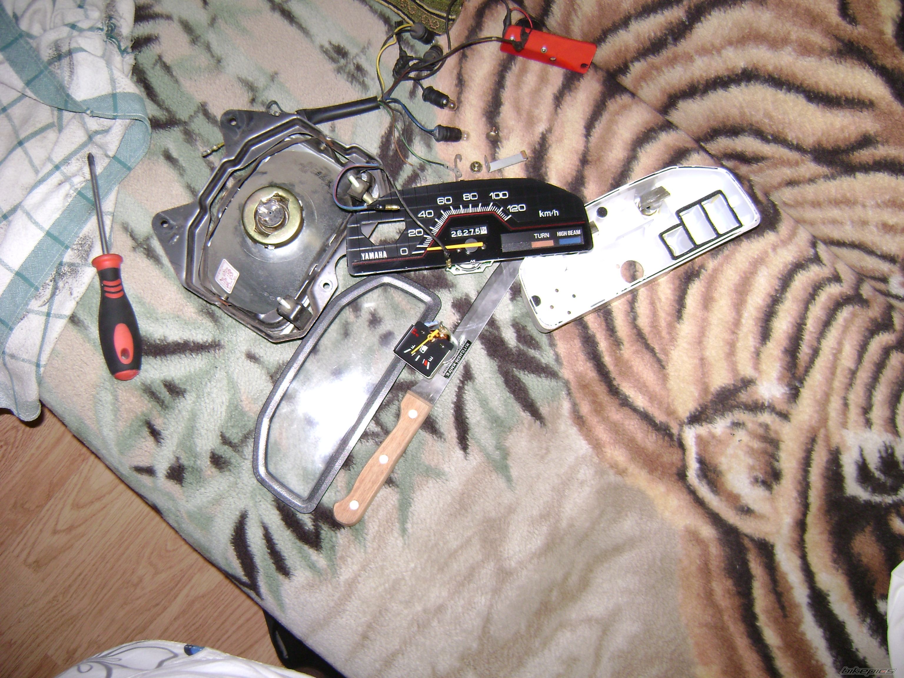 Photo 1410991