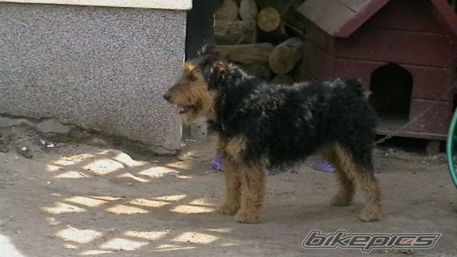 Photo 1410992