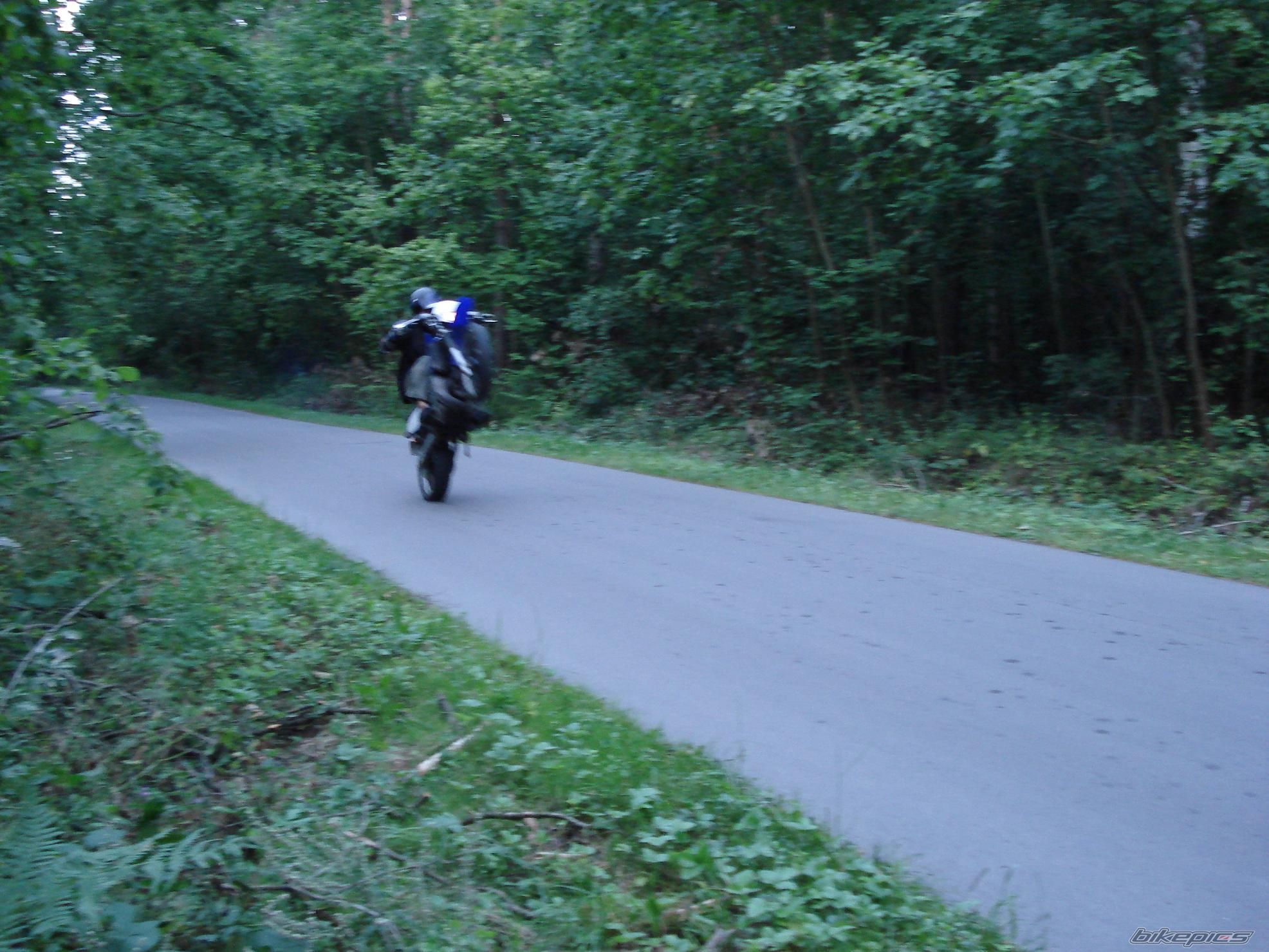 Photo 1411009