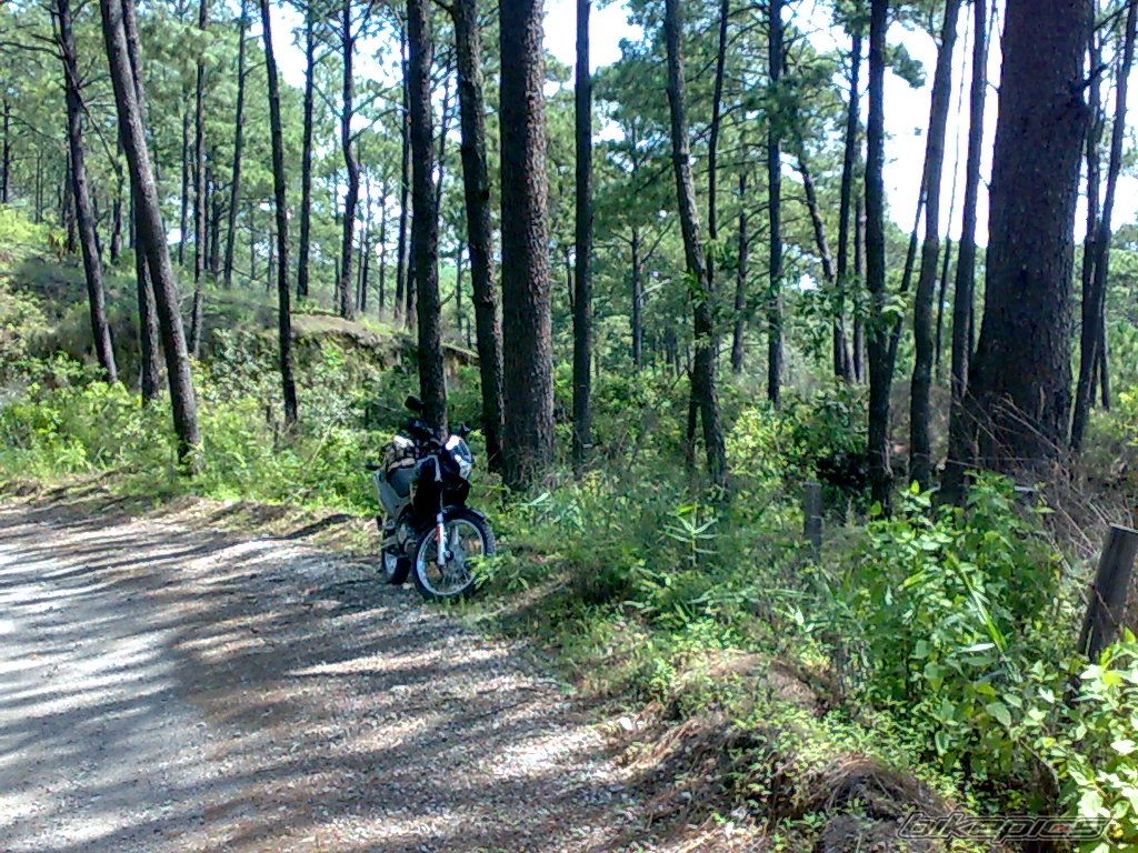 Bike Photo 1411026