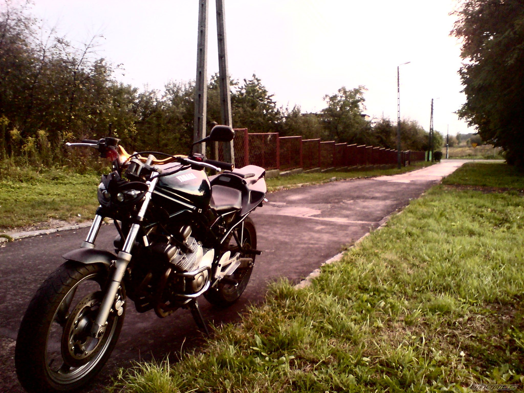 Photo 1411039