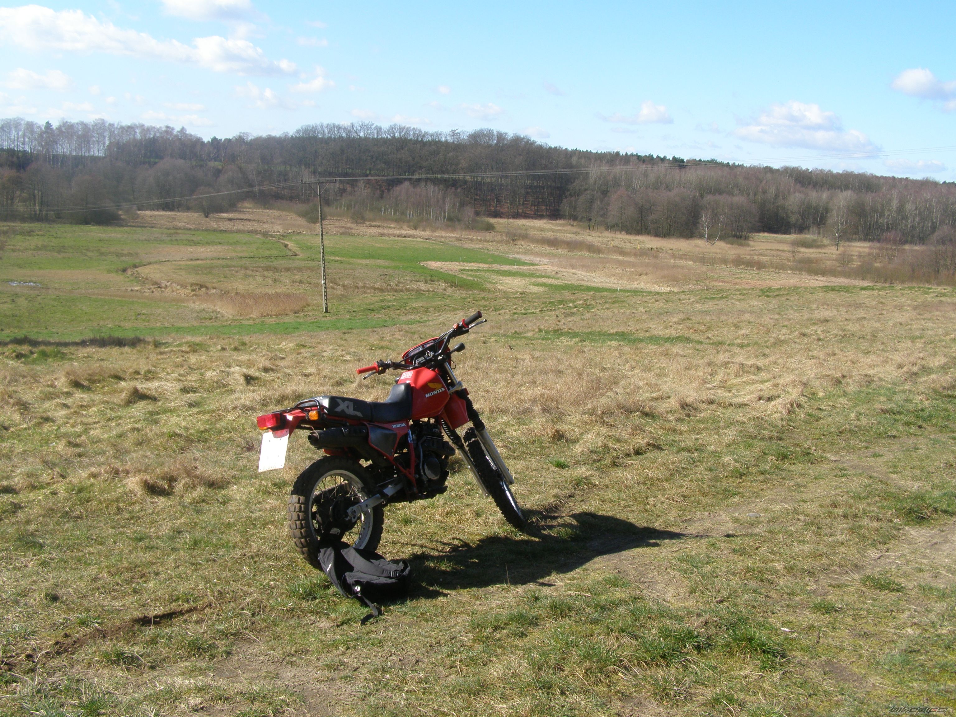 Photo 1411134