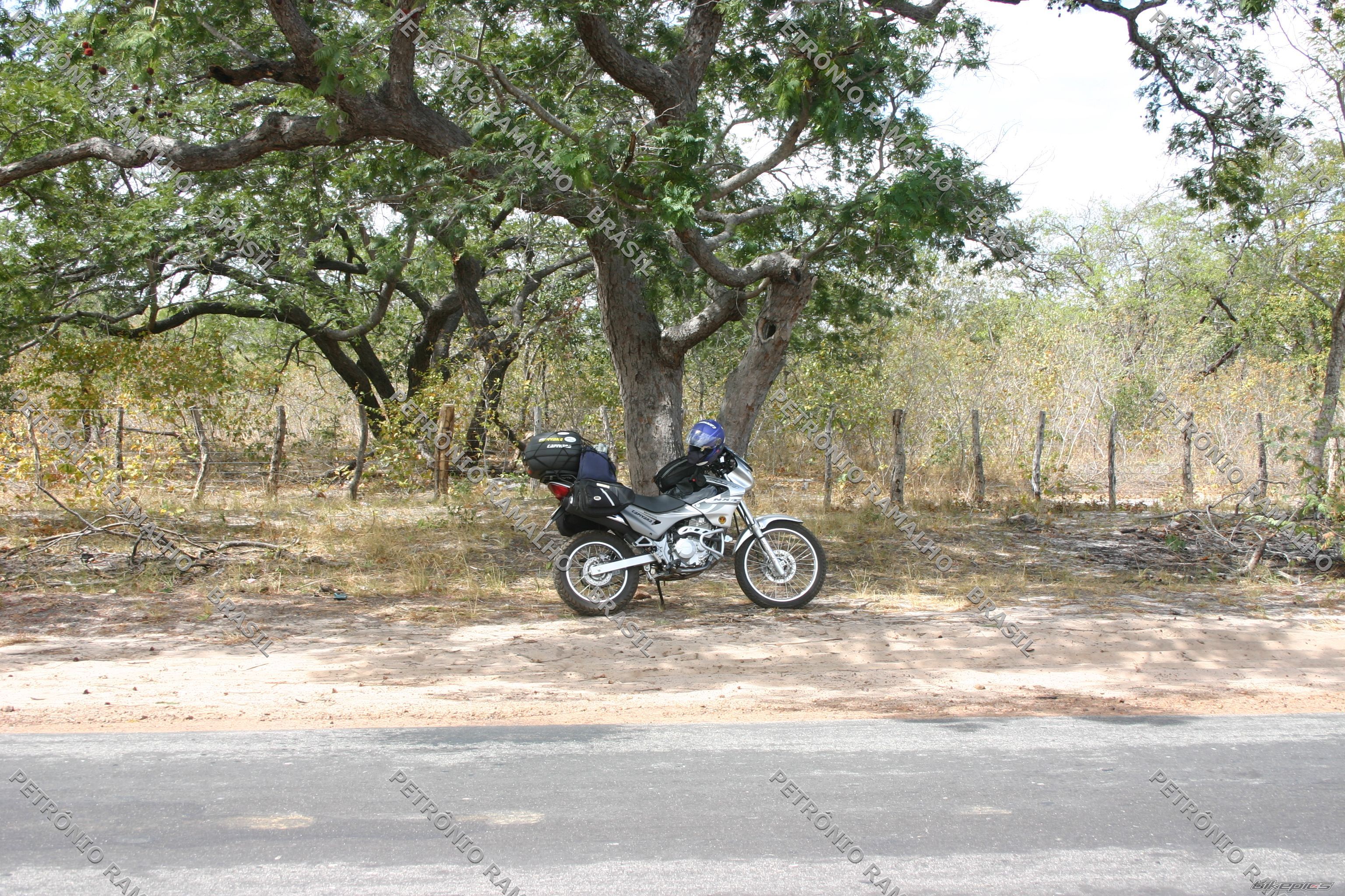 Bike Photo 1411139