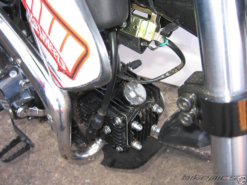 Photo 1411212