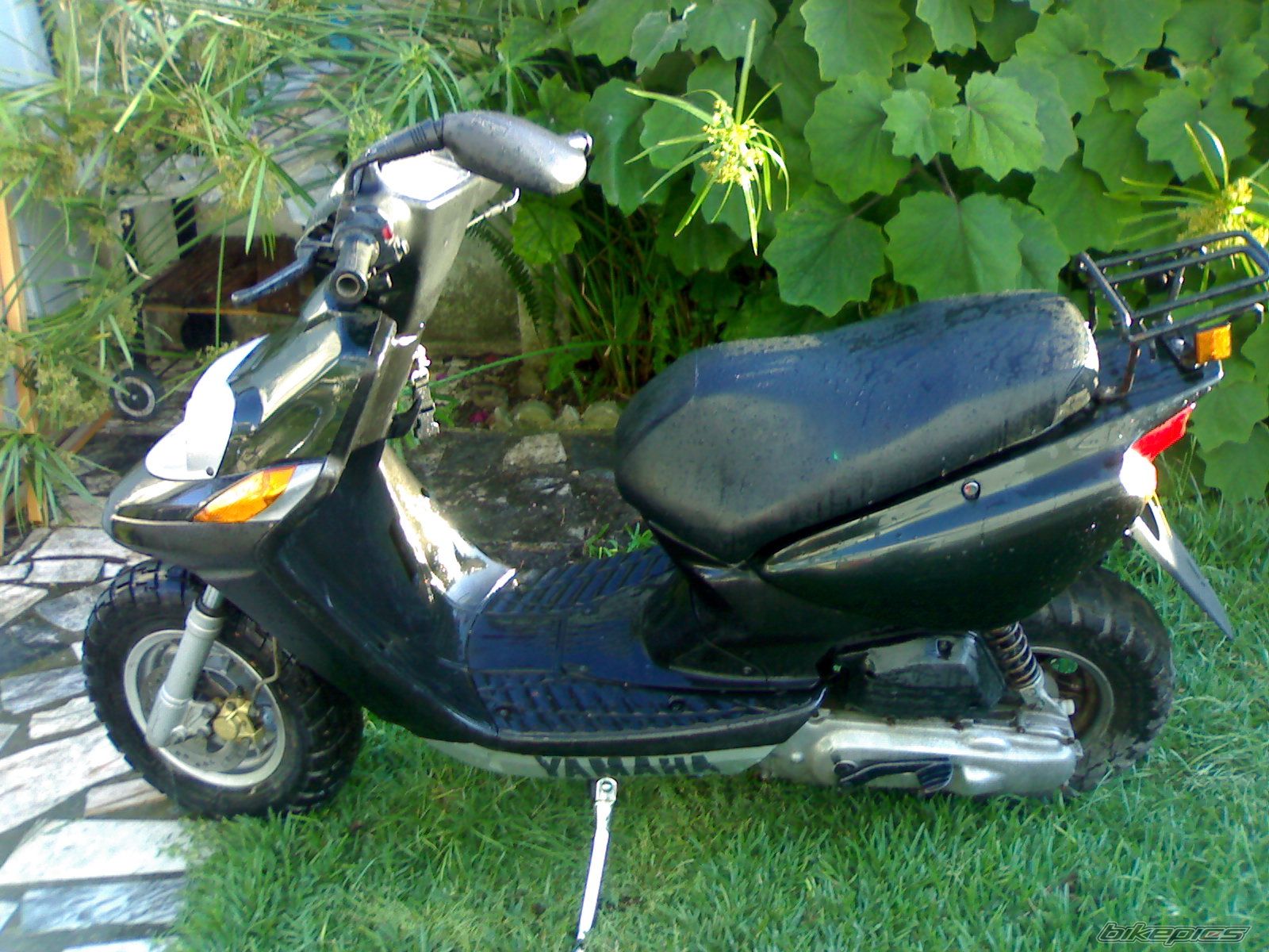 Photo 1411253