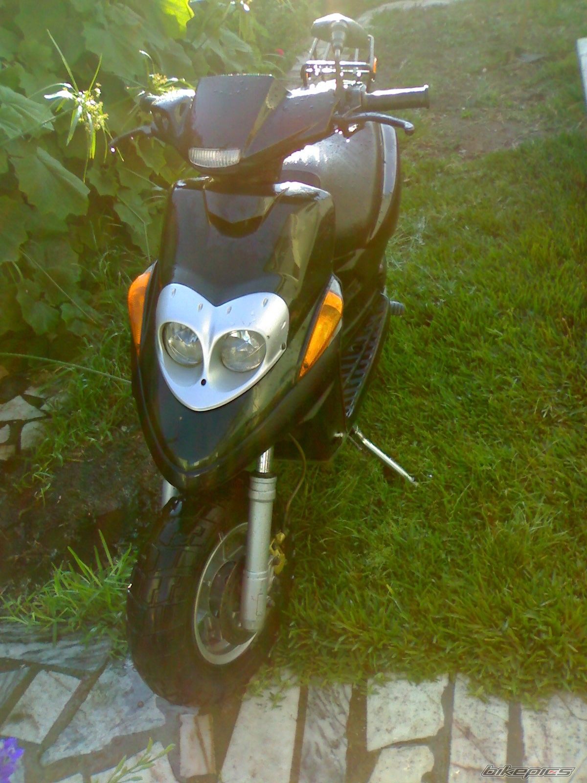 Photo 1411254