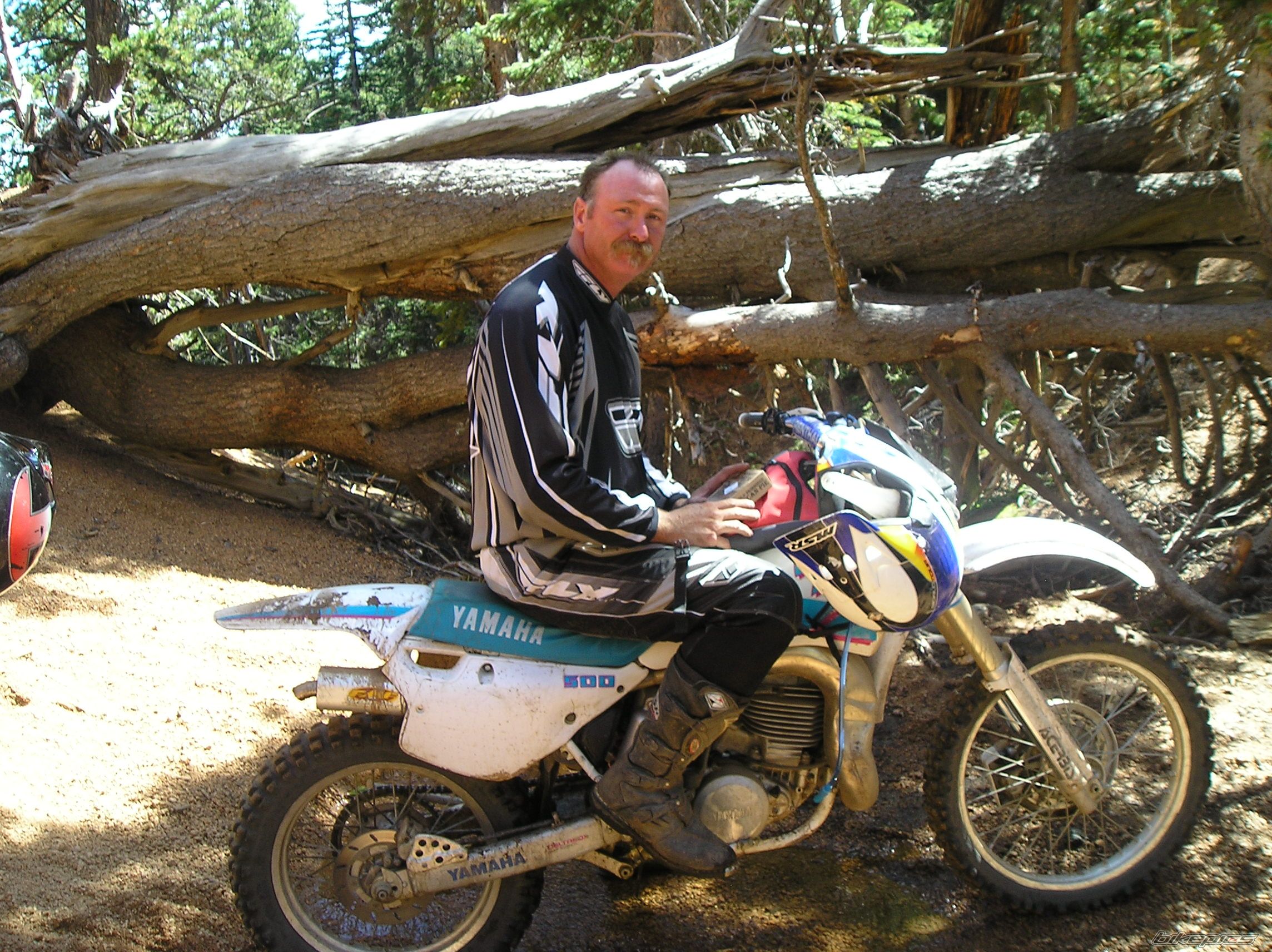 Bike Photo 1411265
