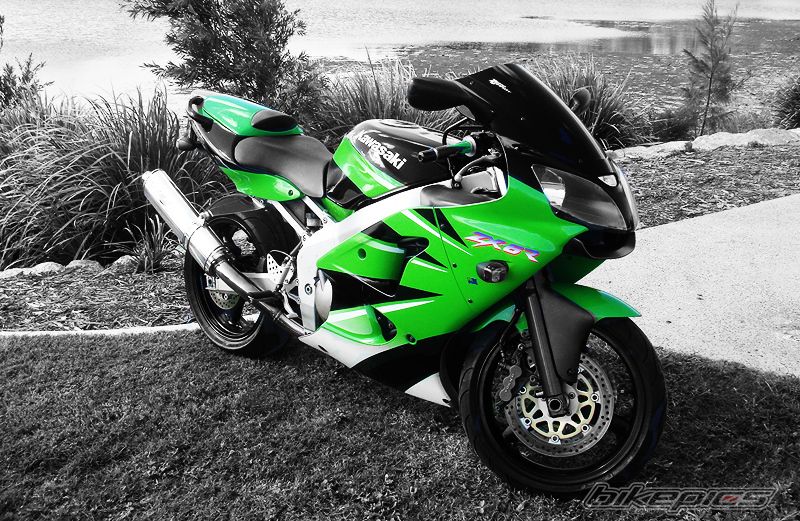 Photo 1411292