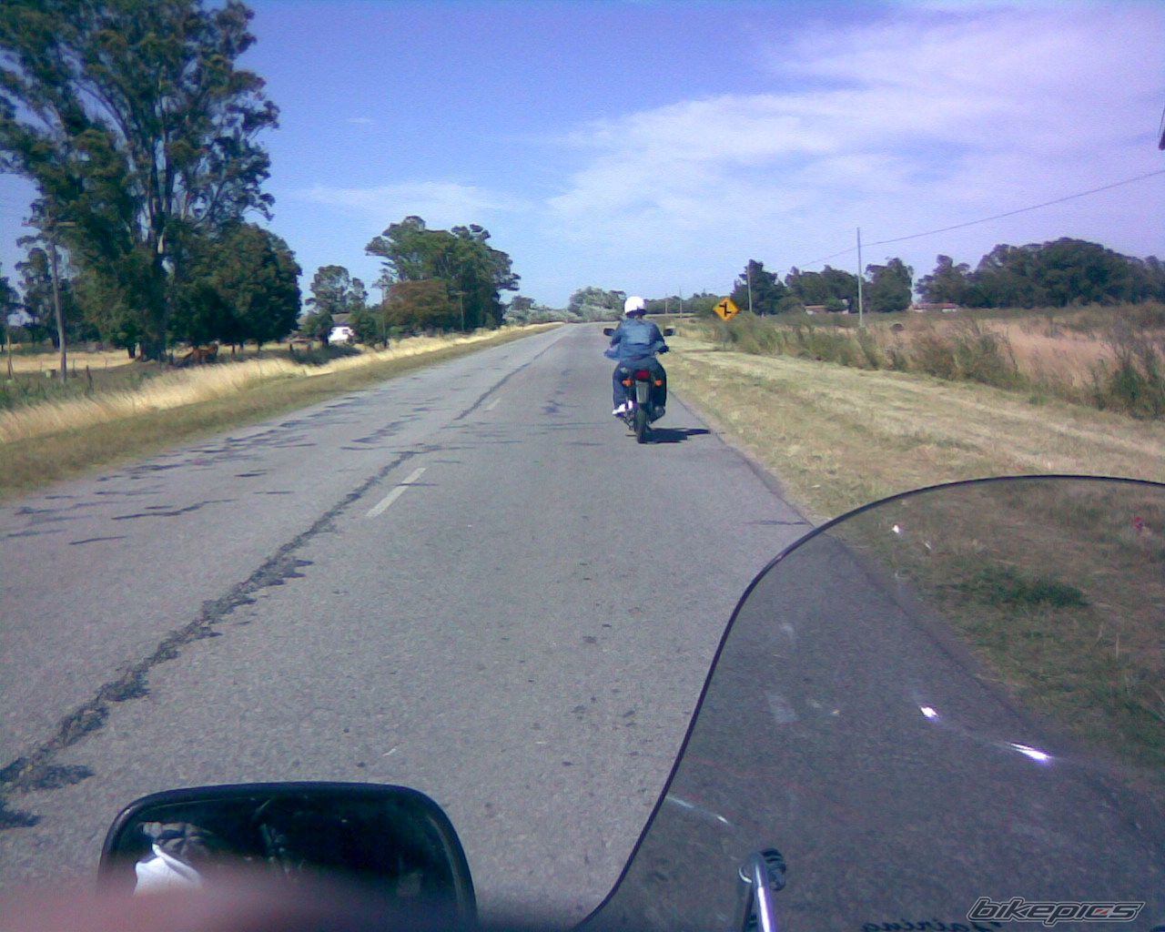 Photo 1411305