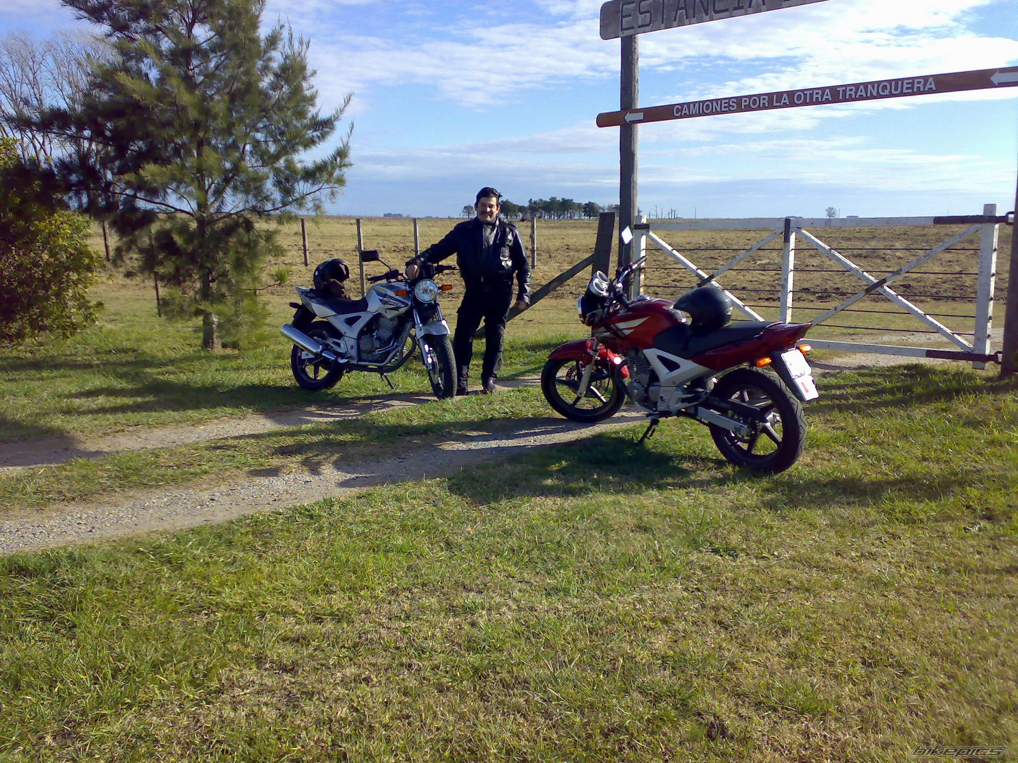 Photo 1411321