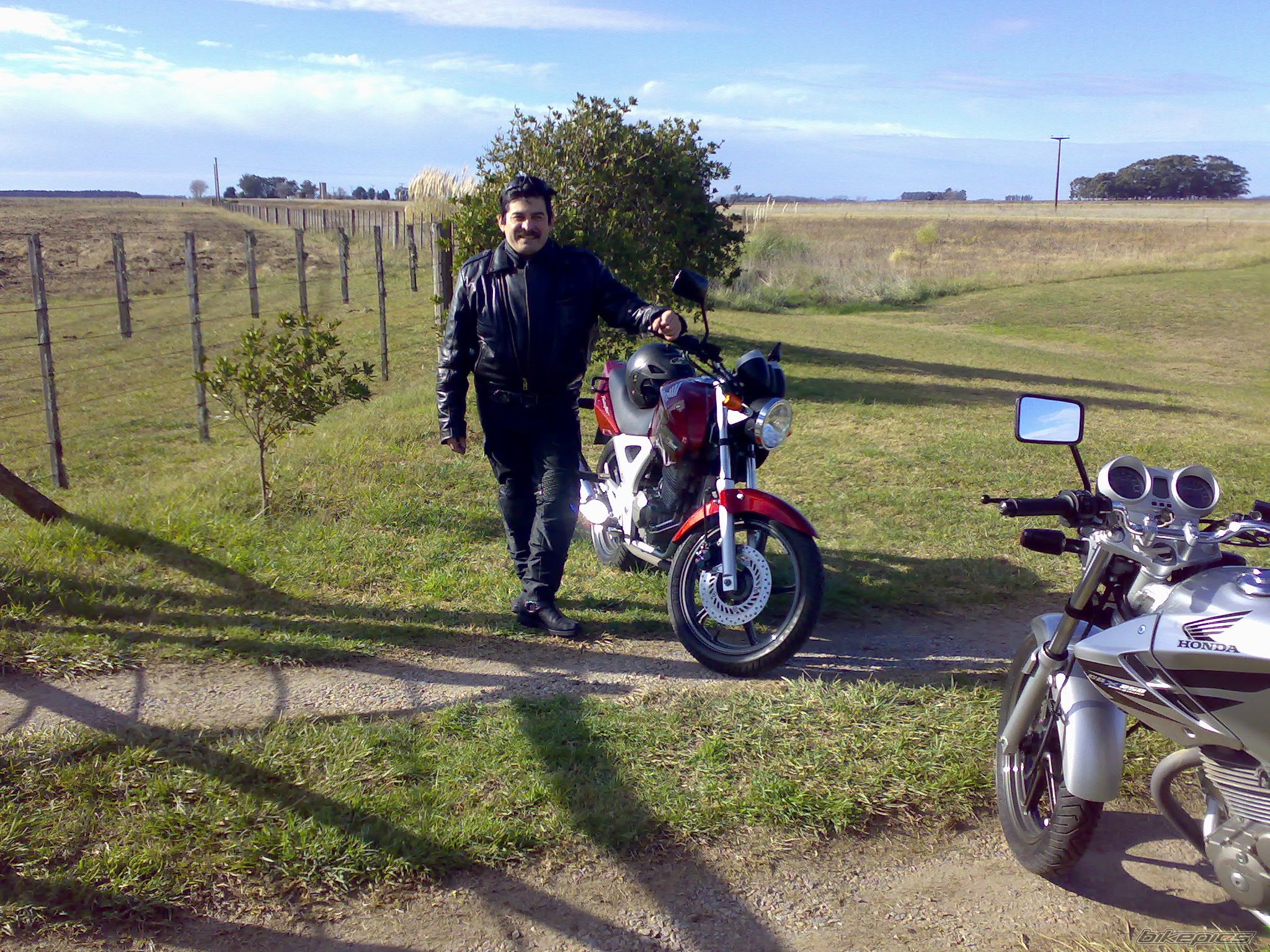 Photo 1411322