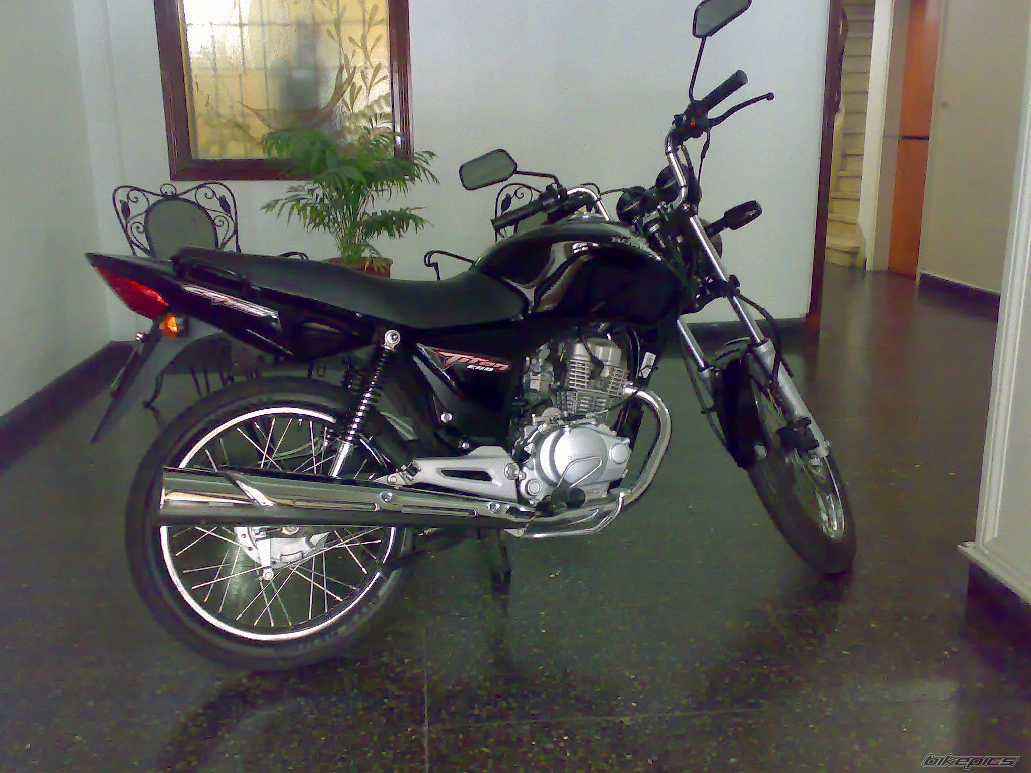 Photo 1411335