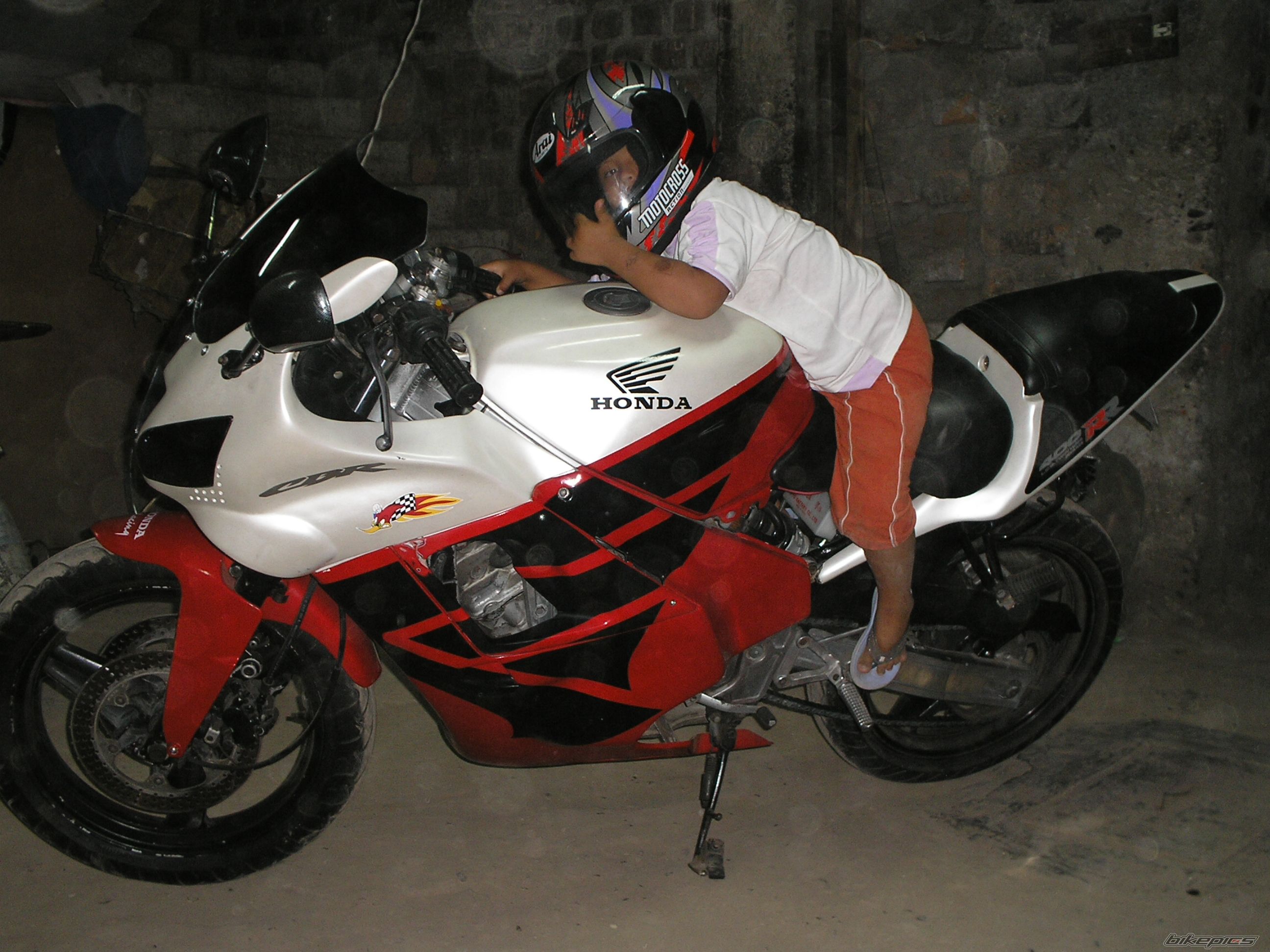 Photo 1411362