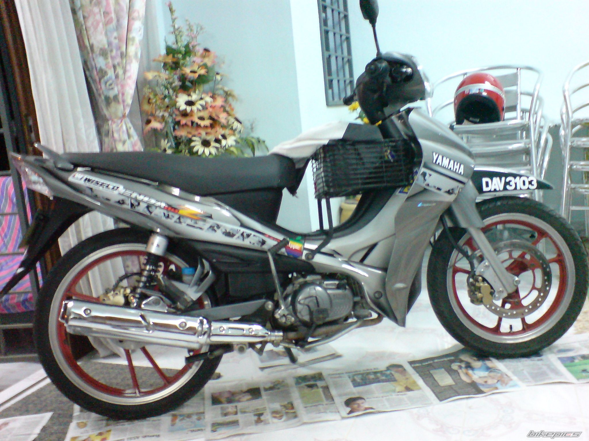 Photo 1411447