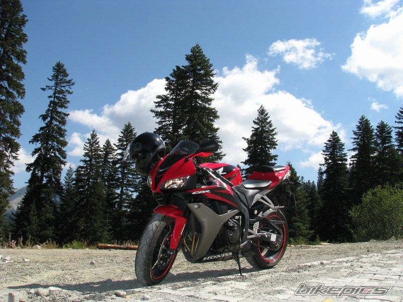Photo 1411457