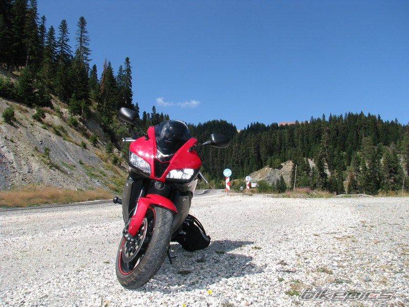 Photo 1411459