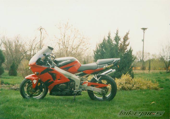 Photo 141148