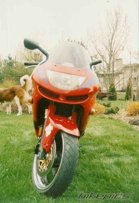 Photo 141150