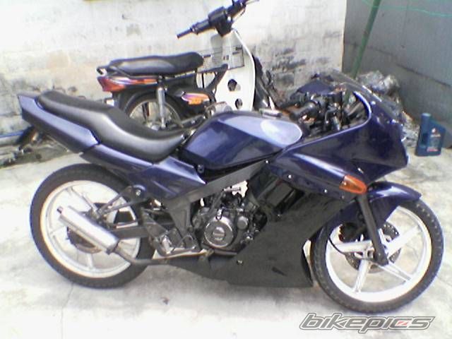 Photo 1411509