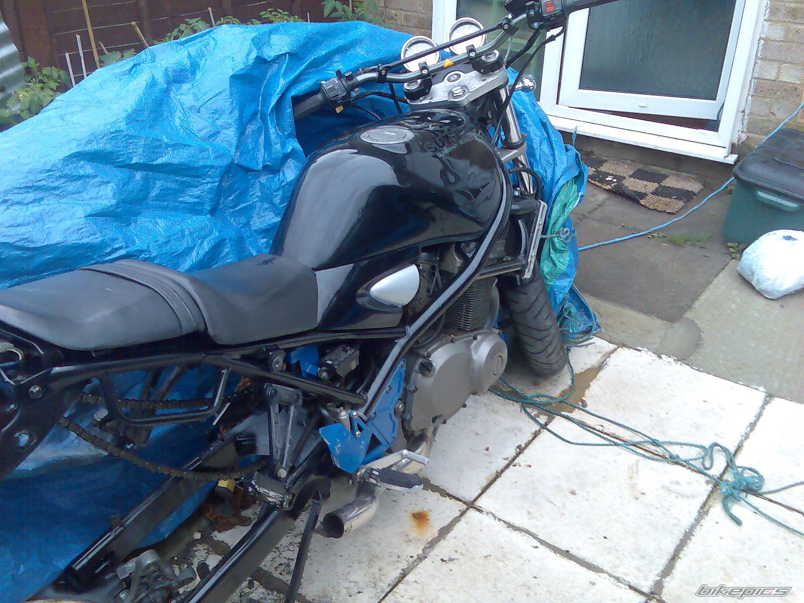 Photo 1411540