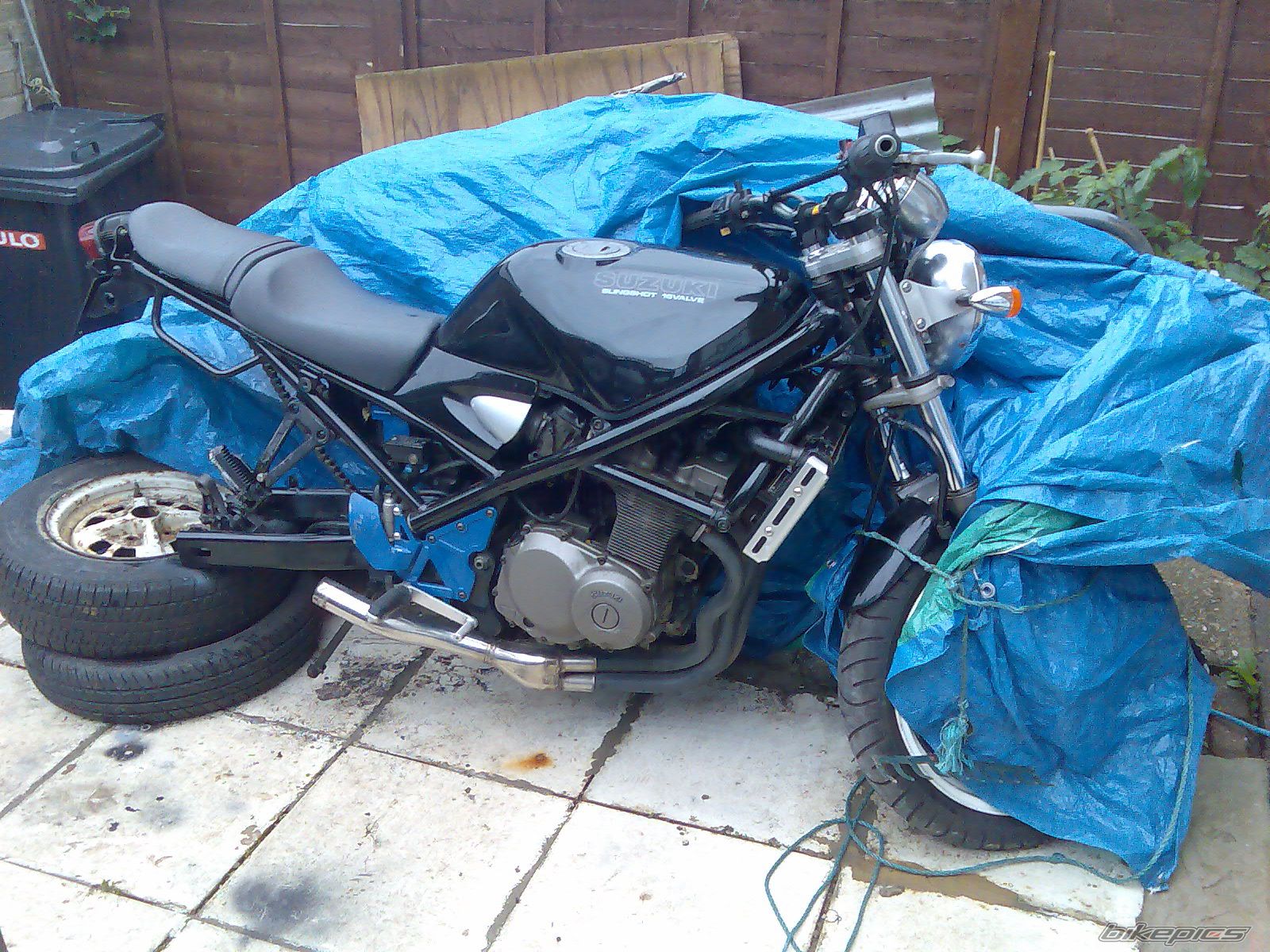 Photo 1411558