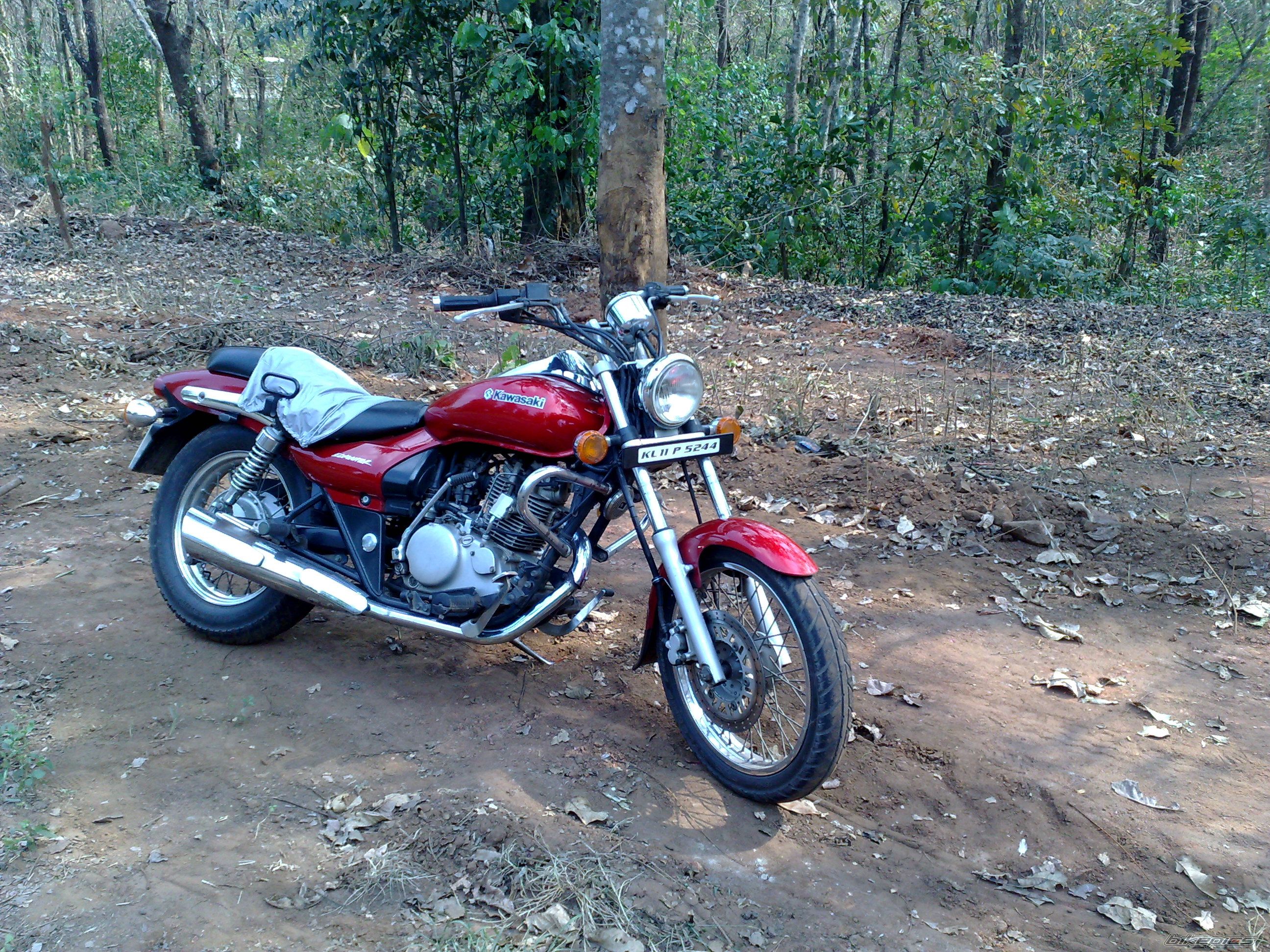 Photo 1411599